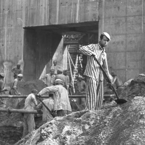 Buy the Project Catalogue