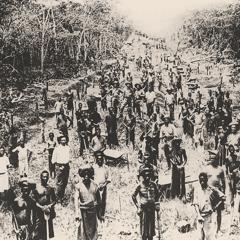 Download the Project Catalogue