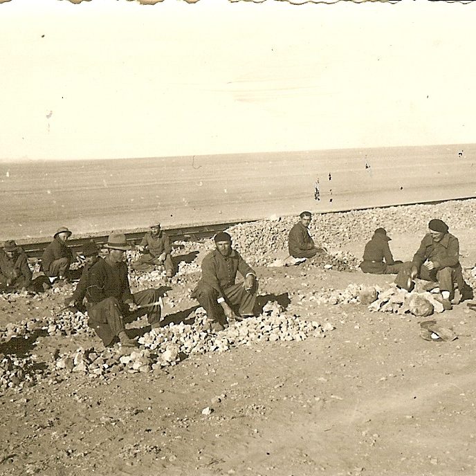 Buy the Project Catalogue